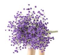 LuoAXINN Branches de Fleurs artificielles Bouquets de Fleurs artificielles en Plastique, 5/10/20 pièces, DIY, for décoration Maison, fête Mariage, Faite à la Main(Color3,10pcs)