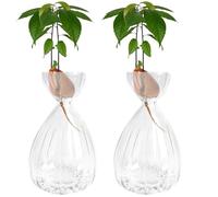 luolety Lot de 2 pots en verre pour graines d'avocat, pots fleurs pour avocat en croissance, kit de culture d'arbre avocat en verre pour jardinage (Transparent)