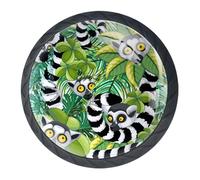 Luoweisi Lot de 4 boutons d'armoire de cuisine ronds en forme de feuille de lémurien tropical avec vis de montage pour placard, tiroir, porte d'armoire, armoire - 35 mm