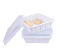 LUVCOSY 2 Boîtes de Fermentation pour Pizza et Pain, Bac à Pâton Boîte Alimentaire Plastique, Caisse de Levée pour Conservation, 30 x 30 x 9 cm Empilable