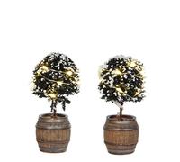 Luville - Arbre Buxus dans Un tonneau - 2 pièces - H8,5cm