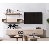 Luxe Meuble-paroi Sideboard Armoire Étagère rtv Télévision tv board Meubles 2pcs.