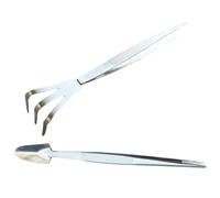 Luxshiny Set de Pinces à Épiler en Acier Inoxydable avec Petit Râteau pour Bonsaï, Outil Léger et Sûr pour Jardinage Intérieur et Ameublir la Terre