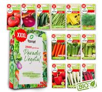 LW TORAF Graines Set XXL 12 Premium Variétés Légumes, Semences Légumes Jardin, Potager, 2500 Plantes Jardin, Cuisine, Betterave, Oignon, Courgette, Haricot, Carotte, Concombre, Tomate, Poivron