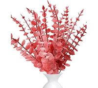 LWAIX Branches Eucalyptus Artificiel Feuilles Eucalyptus Séché Artificielle | Plante Artificielles Eucalyptu 20pcs pour Décoration Mariage Composition Florale et Centre de Table (Rouge)