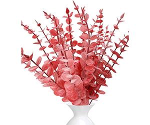 LWAIX Branches Eucalyptus Artificiel Feuilles Eucalyptus Séché Artificielle | Plante Artificielles Eucalyptu 20pcs pour Décoration Mariage Composition Florale et Centre de Table (Rouge)