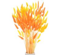 M METERXITY 120 Pcs Herbe de Queue de Lapin 17 Pouces Queue de Lapin Fluffy Herbe Fleurs Séchées Branches Remplisseur de Vase Décoration en Herbe de Pampa Séchée [Orange, Jaune Doré]