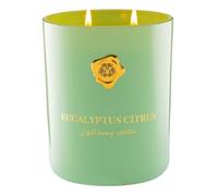 M&SENSE Bougie parfumée de 470g - Grande | Bougies parfumées Eucalyptus-Citron en pot | Bougie naturelle en cire de soja | Aromathérapie relaxante | Cadeau pour femmes & hommes, fête des mères | Durée