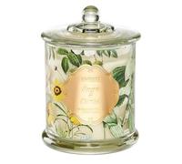 M&SENSE Bougie parfumée en verre - Parfum sauge et agrumes - 500 g - Longue durée de combustion de plus de 60 heures - Bougie en cire de soja comme décoration d'intérieur et cadeau pour les amateurs