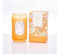 M&SENSE Bougie Parfumée Orange&Goji, Bougie de Soja Naturelle Non Toxique,300g 10.6 oz,60 Heures de Combustion,Cadeau Parfait Pour Femme,Bougies Décoratives