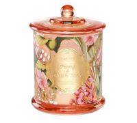 M&SENSE Bougie Parfumées 360g 2 Mèches - Cire Végétale 100% Naturelle - Parfum Pivoine & Suède Élégant - Combustion Lente 60h - Aromathérapie Maison & Cadeau Déco