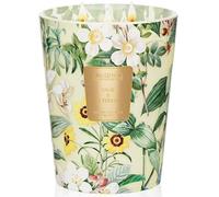 M&SENSE Bougie parfumées à la sauge agrumes, bougies de cire de soja naturelle à 3 mèches pour la mère, bougies cadeau pour les femmes, 150 heures de combustion lente et durable, 990 g