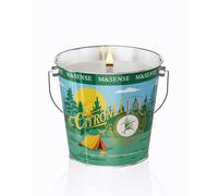 M&SENSE Bougie Parfumées Citronnelle Menthe Poivrée | Bougie Cire de Soja Naturelle 110h Rafraîchissantes, Parfum Énergisant pour Bureau & Séances de Travail - Bougies pour Camping, Jardin,Terrasse