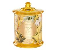 M&SENSE Bougie parfumées dans un pot - Parfum orange et baie de goji -Longue durée de combustion de plus de 60 heures - Bougie en cire de soja comme décoration d'intérieur rafraîchissante et