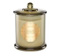 M&SENSE Bougie Parfumées Eucalyptus et Cèdre, Bougies en Soja Non Toxiques Sans Fumée, Bougie Aromathérapie pour Soulagement du Stress, Bougie Grande 360g 75 Heures à 2 Mèches