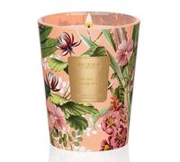 M&SENSE Bougies Parfumées de Luxe en Cire de Soja Pivoine Blush Suede | 400 g, Jusqu’à 75 Heures, Parfum Enveloppant, Cadeau Chic pour Couples & Ambiances Romantiques