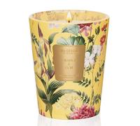 M&SENSE Bougies Parfumées en Cire de Soja Orange et Goji | 400 g, Jusqu’à 75 Heures, Parfum Agridoux & Énergie Vitale, Idéale pour Petits Déjeuners, Maison et Bureaux