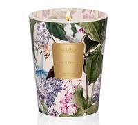 M&SENSE Bougies Parfumées en Cire de Soja Poire et Freesia | 400 g, Jusqu’à 75 Heures, Parfum Fruité Frais, Cadeau de Bienvenue pour Maison & Séjours, Non Toxique