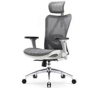 M57 Fauteuil de Bureau Ergonomique, Dossier Haut Respirant en Maille Douce, Accoudoirs 3D Réglables, Soutien Lombaire, Gris Clair