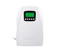 Machine à Ozone, Générateur D'Ozone Polyvalent 500 /H pour la Maison, la Voiture, le Nettoyage des Fruits et Légumes, Purificateur D'Air, UE
