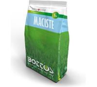 Maciste - 5 kg de semences de gazon professionnelles Bottos