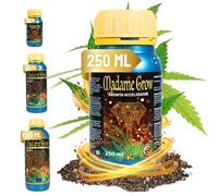 MADAME GROW - Engrais Organique - GROWTH ACCELERATOR (250ml)