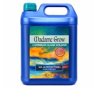 MADAME GROW Engrais pour algues marijuana - engrais pour floraison de marijuana - bourgeon de marijuana - engrais pour floraison de marijuana - liquide - engraissement (ALGUES DES CARAÏBES 5L)