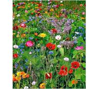 MAELSA® GRAINES EN SACHET POUR POTAGER ET JARDIN - FLEURS - SEMENCES DE FLEURS DIVERS VARIETES AU CHOIX (FLEURS ANNUELLE EN MELANGE)