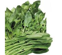 MAELSA® GRAINES EN SACHET POUR POTAGER ET JARDIN - LEGUME - SEMENCES DE LEGUMES DIVERS VARIETES AU CHOIX FAITES DEROULER… (Graines de EPINARD GEANT D'HIVER)