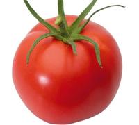 Maelsa® GRAINES en Sachet pour Potager ET Jardin - Legume - SEMENCES DE LEGUMES Divers VARIETES AU Choix Faites DEROULER… (Tomate MONTFAVET)