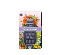 Mafra - HARYA Delicate Blooming, Diffuseur de Parfum en Caoutchouc pour Voiture, Fragrance Florale Orientale Ambrée avec des Notes de Rose et d’Orchidée, Design Élégant