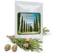 Magic of Nature: 100 Graines de Cyprès de Provence - Cyprès d'Italie