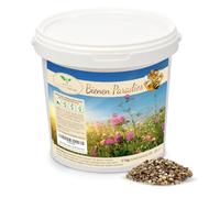 Magic of Nature: 1kg Mélange Graines Fleurs - Paradis des Abeilles | Prairie Fleurie Mellifère - Plus de 20 Variétés pour 300 à 500 m²