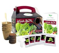 Magic of Nature Asia Box - Kit Culture Graines Légumes & Herbes Asiatiques | Coffret cadeau asiatique pour cuisiniers - Kit plantation de graines
