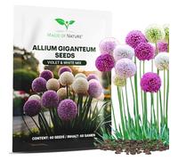 Magic of Nature: Graines d'Ail Géant (60 pces) Allium giganteum Mix | Violet et Blanc - Semences Rustiques et Mellifères