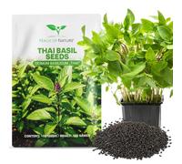 Magic of Nature: Graines de Basilic Thaï 100 Pcs (Ocimum Basilicum) | Semences Aromatiques pour Cuisine Asiatique - Idéal Balcon & Potager