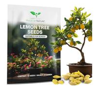 Magic of Nature: Graines de Citronnier Mini (10 Pcs) - Adapté pour Bonsaï | Semences premium au style méditerranéen - Plante d'intérieur vivace & pot