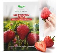Magic of Nature: Graines de Fraises Géantes env. 100 pcs | La plus grande fraise au monde "Giant" - Fruits Sucrés - Rustique & Vivace