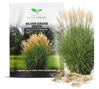 Magic of Nature: Graines de Roseau de Chine Géant - env. 100 pcs | Miscanthus sinensis - Plume d'Argent - Graminée Rustique pour Haie & Jardin
