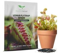 Magic of Nature: Graines de Vénus Attrape-mouche (env. 20 pcs) | Dionaea muscipula - Plante Carnivore pour Intérieur & Rebord de Fenêtre - Plante Exotique