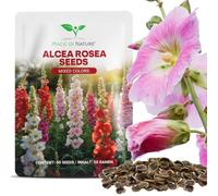 Magic of Nature: Rose Trémière Mélange 50 Graines Colorées (Alcea Rosea) | Vivace & Rustique - Fleurs de Jardin pour Abeilles & Papillons