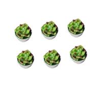 MAGICLULU 6 Pièces bougies chauffe-plat bougie décorative bougies succulentes bougie thermale bougies de spa bougie cactus bougies mini-cactus mini-bougies des bougies