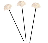 MAGICLULU Bâtonnets Diffuseurs Absorption d'eau et Volatilité Stable en Rotin Noir Fleurs Séchées Artisanales Lot de 3 Pièces pour Décoration Élégante Maison