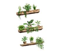 MagiDeal Stickers muraux plantes vertes en pot, amovibles, réalistes et décoratifs, à coller et décoller pour canapé ou salon.