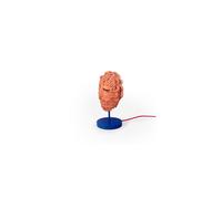 SELETTI lampe de table MAGNA GRAECIA ULYSSE (Naturel - Terre cuite, métal bleu, câble rouge)