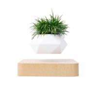 MagneticLand Mini-jardin en lévitation Babylonia