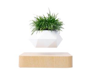 MagneticLand Mini-jardin en lévitation Babylonia