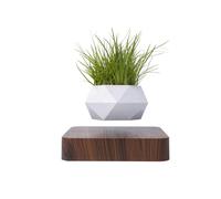 MagneticLand Mini-jardin en lévitation en bois foncé