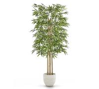 Maia Shop | Bambou Artificiel | Plantes Artificielles Interieur | Plante Artificielle | Mesures: 150 x 70 cm | Fausse Plante | Arbre Artificiel | Décoration