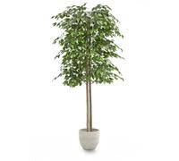 Maia Shop Ficus Artificiel 180 cm - Faux Arbre Décoratif d'Intérieur
